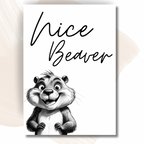 Nice Beaver