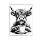 Highland Cow Drinking Coffee