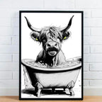 Highland Cow Having A Bath