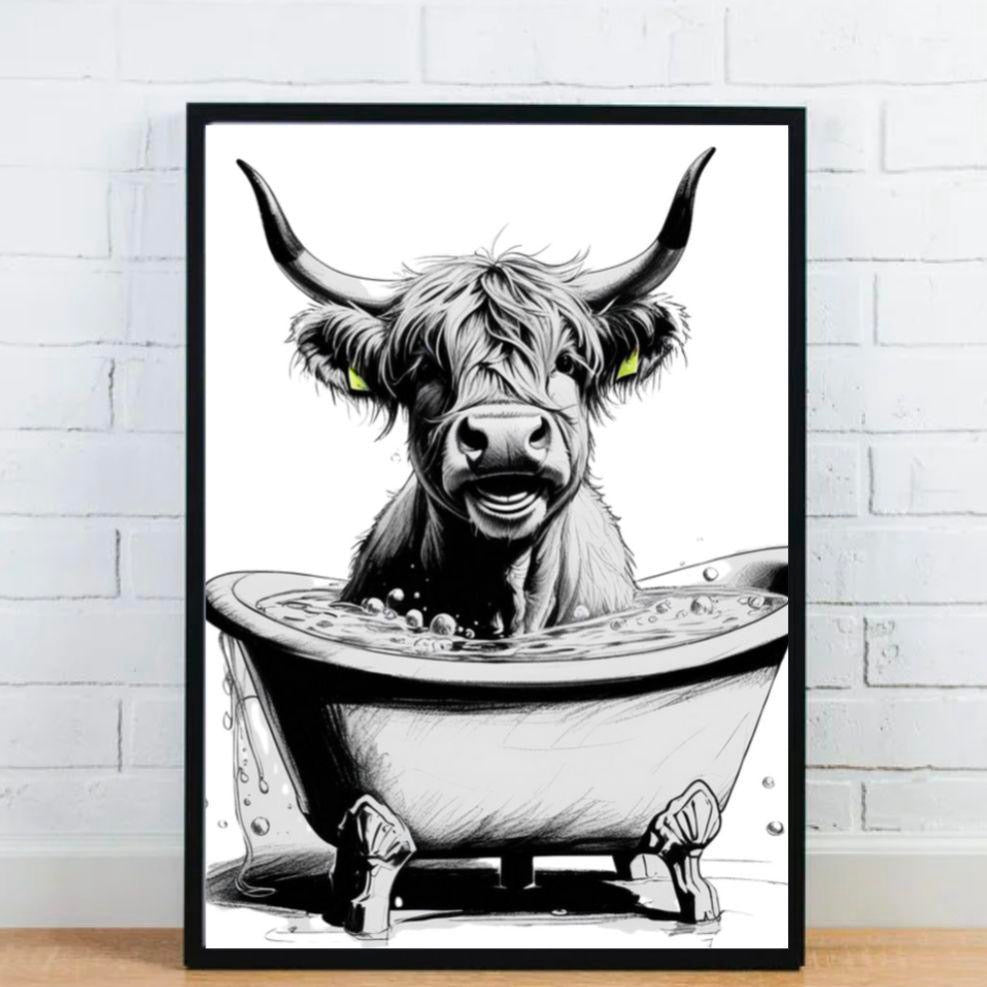 Highland Cow Having A Bath