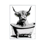 Highland Cow Having A Bath