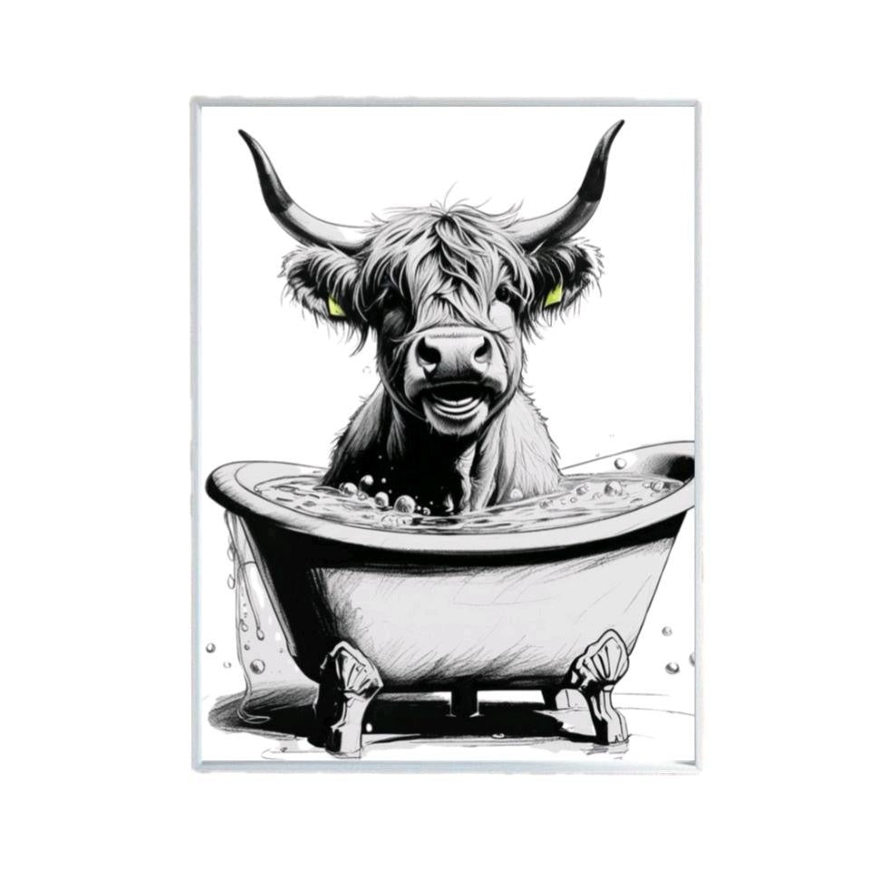 Highland Cow Having A Bath