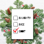Naughty or Nice Christmas Card – Funny Rude Holiday Card