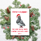 Christmas Pigeon Card – Funny Alternative to Robin Christmas Cards
